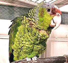 IMG_8278.jpg